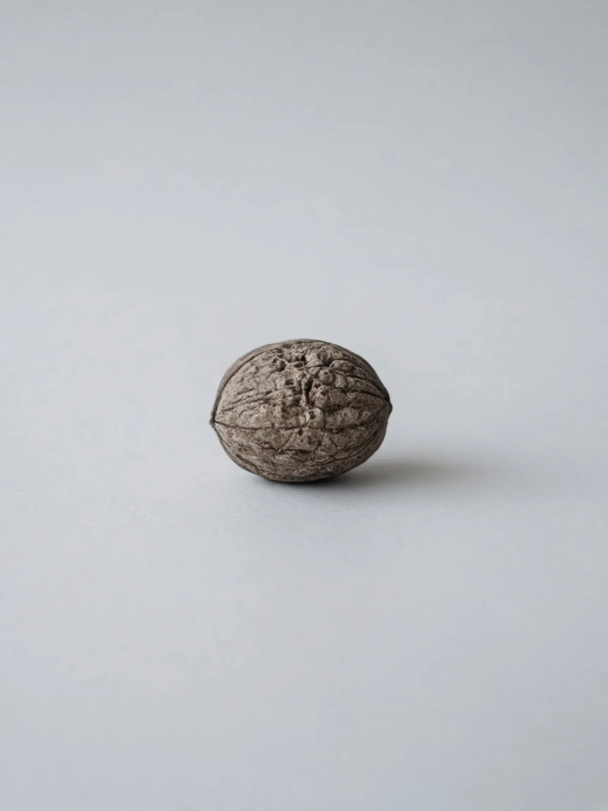 A whole walnut lying on a desk