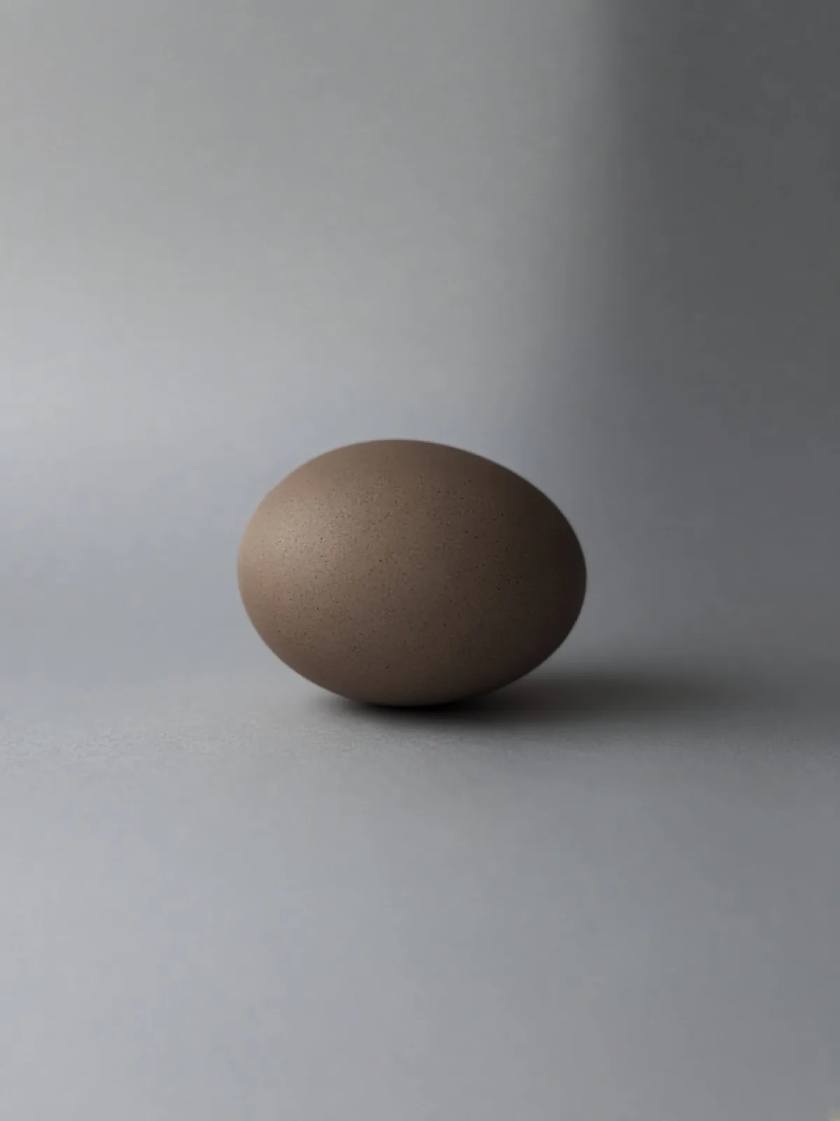 A brown egg lying on its side on a desk